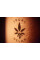 ✦ H4 C B D ✦ Legal Relax Cannabis Oil – 10 ml, 5% or 10%