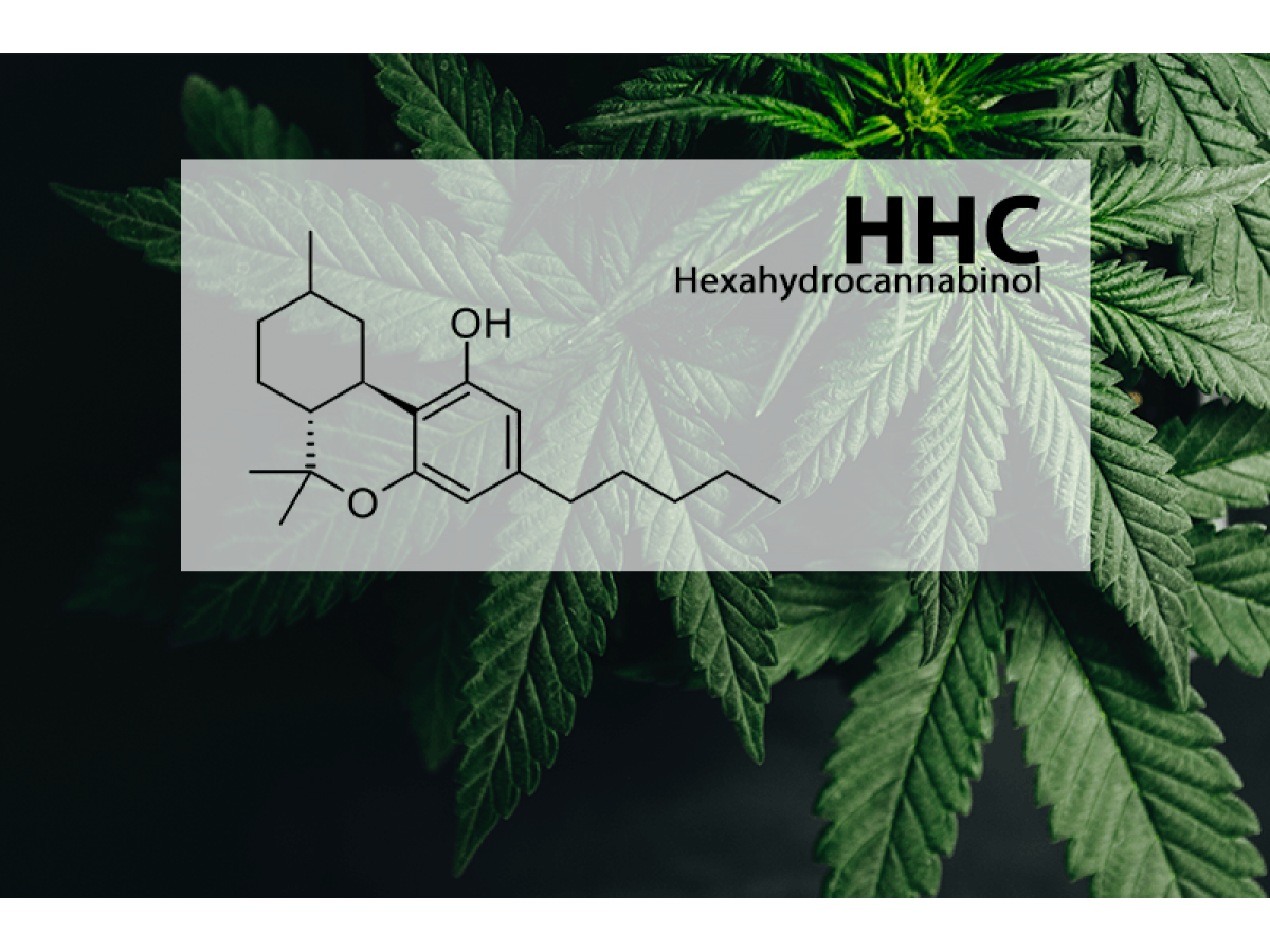 HHC - Your Companion in Overcoming Stress and PTSD! 