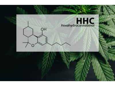 HHC - Your Companion in Overcoming Stress and PTSD! 